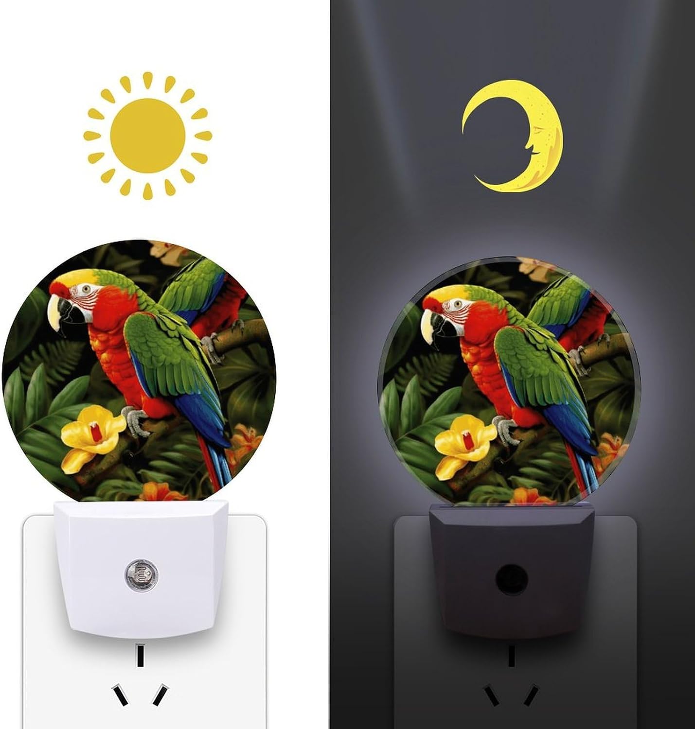 Tropical Parrot Plug-in LED Nightlight Wall Night Light image 3