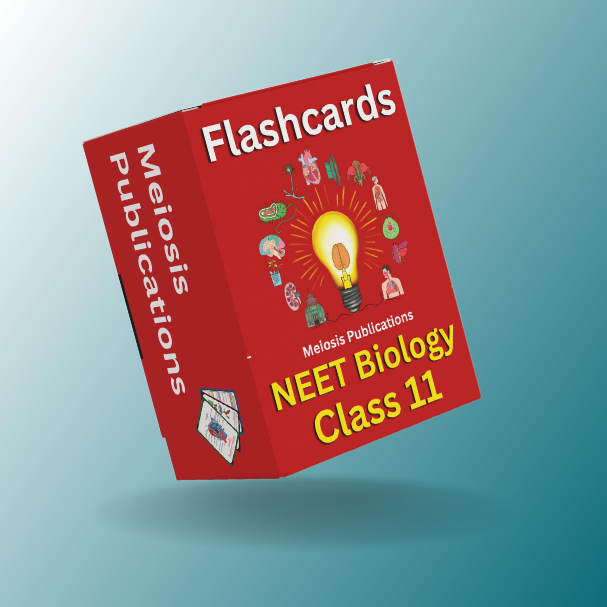 NEET UG Flashcards for Complete Biology Class 11 Preparation | Meiosis Publications | NEET 2025/2026/2027