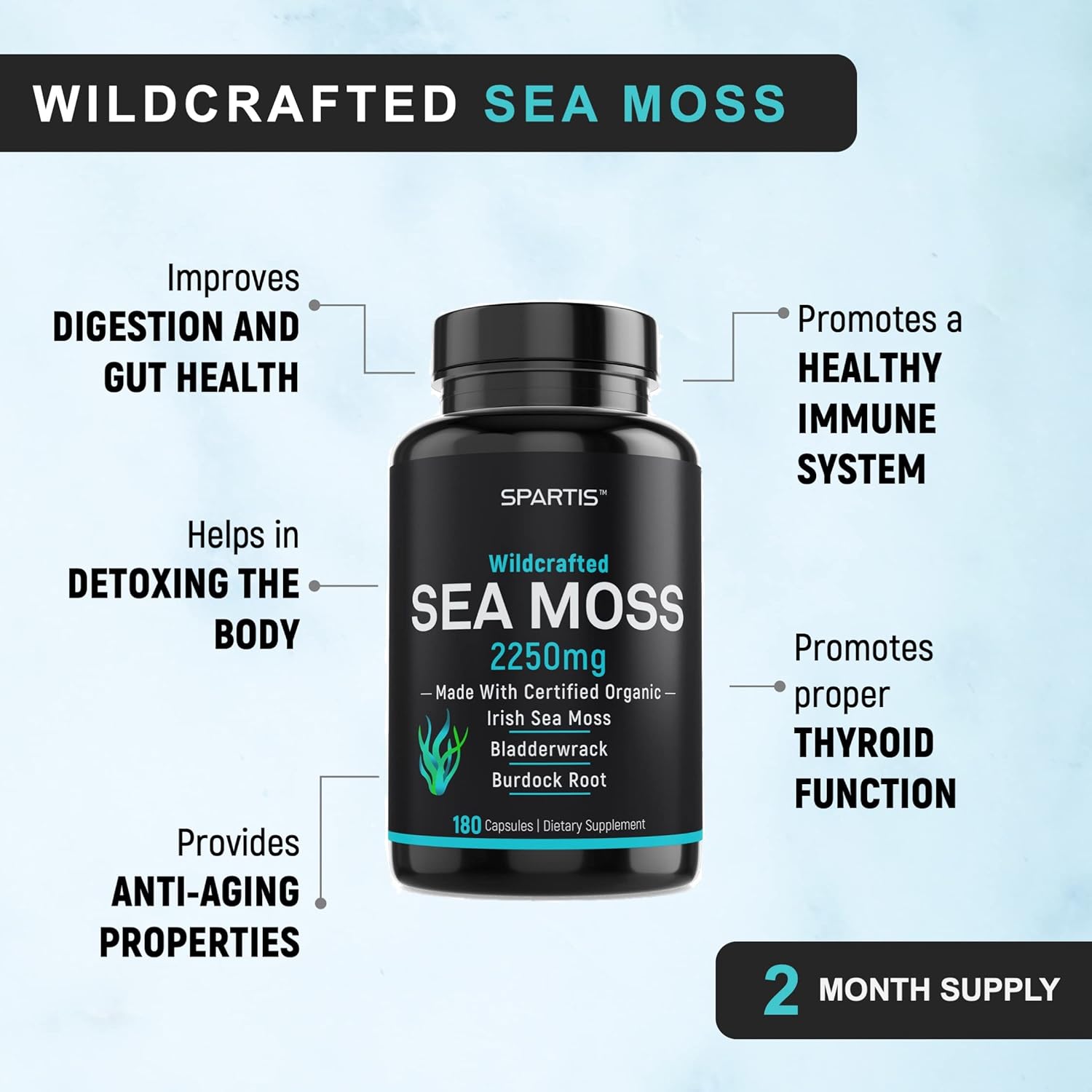 Certified Organic Sea Moss Capsules 2250mg Wildcrafted Irish Sea Moss Burdock Root Bladderwrack Supplement Raw Seamoss Pills & Powder (Pack of 1 at 180-Caps) - Image 5