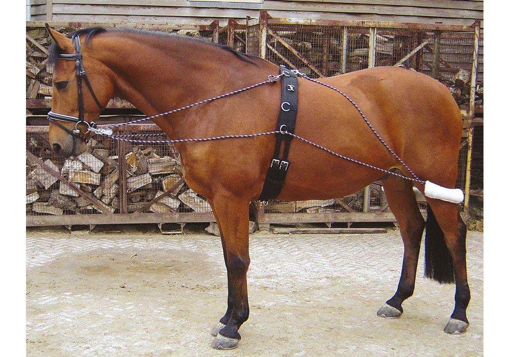 Harry's Horse Longeerhulpteugel