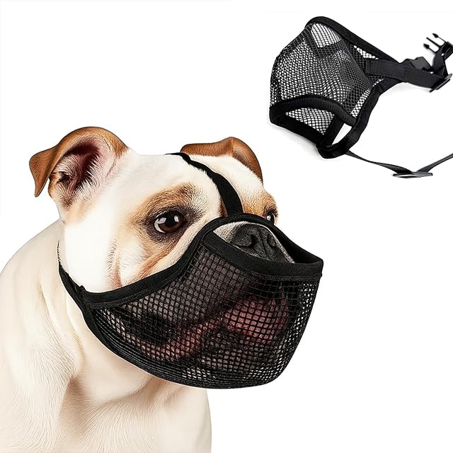 Colenumone Bozal de bulldog francés