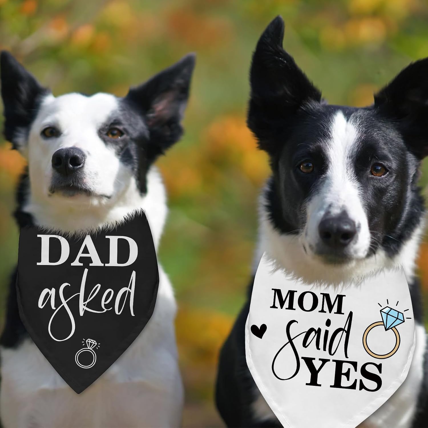 Dad Asked Mom Said Yes Dog Bandana She Said Yes Engagement Gift for Dog Cute Dog Engagement Announcement Photo Prop Dog Wedding Bandana Accessories for Dog Lovers image 3
