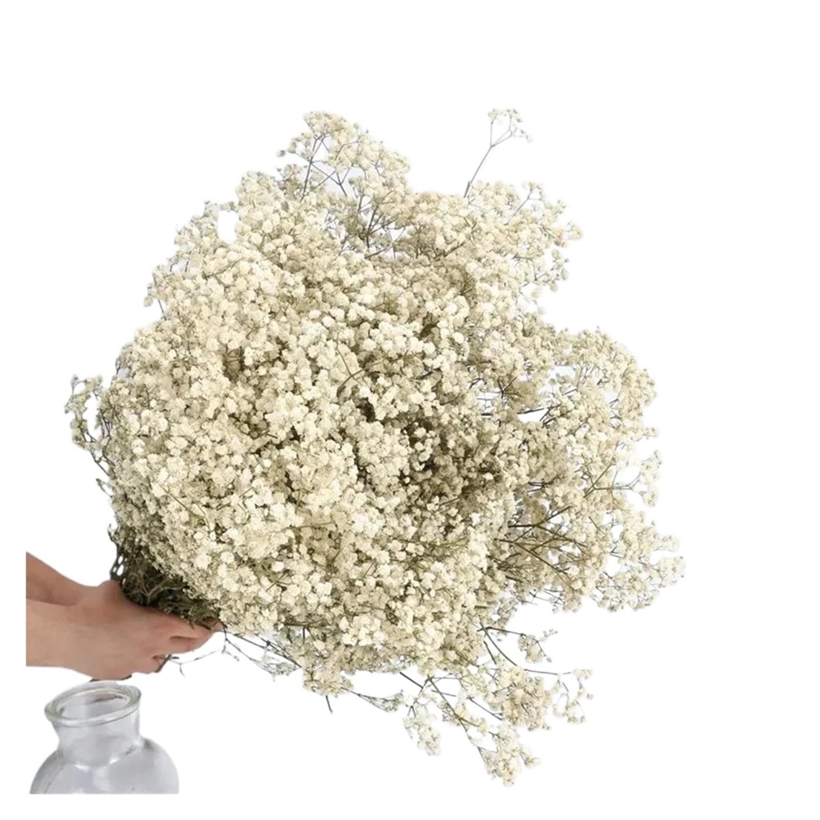 WJIAYAO dried gypsophila flowers 40-50cm Dried Flowers Gypsophila Paniculata,Baby's Breath Flower Bouquets Wedding Decoration,Home Decor(WHITE,60g (40cm))