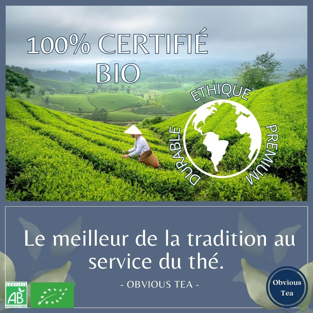 Thé Noir Earl Grey Bio - Thé Vegan en Vrac, 100% Naturel, Sans OGM - Agriculture Biologique - Conditionné en France - Sachet 1 kg (500 Tasses)
