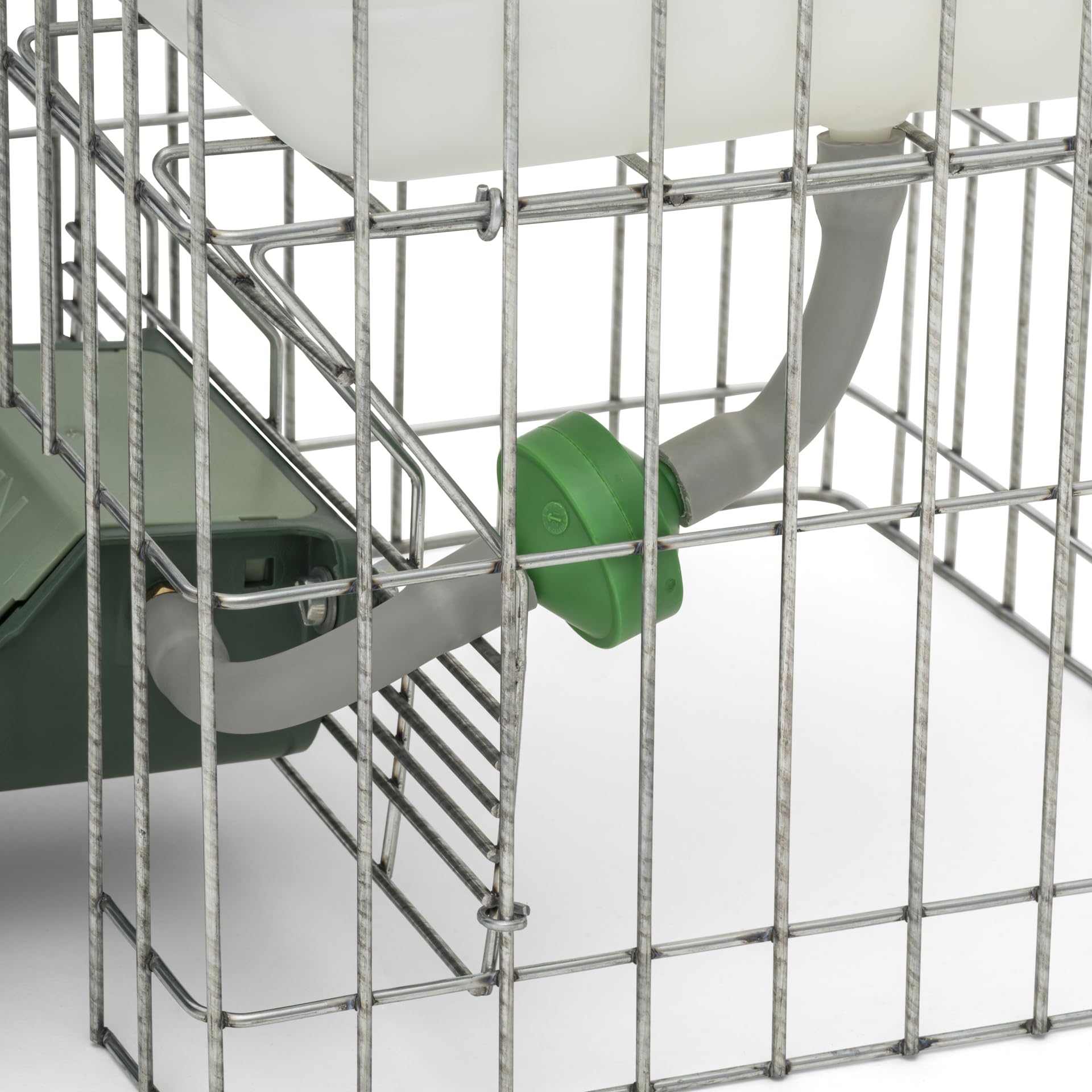 Abbeveratoio Automatico Per Galline Da 30 Litri - Serbatoio Grande Senza Allaccio All'Acqua - Foto 5