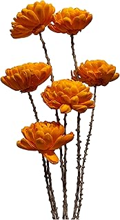 Organic Sola Wood Chrysanthemum Flower Branch Drop-in Bouquet, 6 Stems, Handmade in India, Dried Tapioca Plant, Dried Florals, for Bridal, Bridesmaid, Quinceañera, Special Occasions