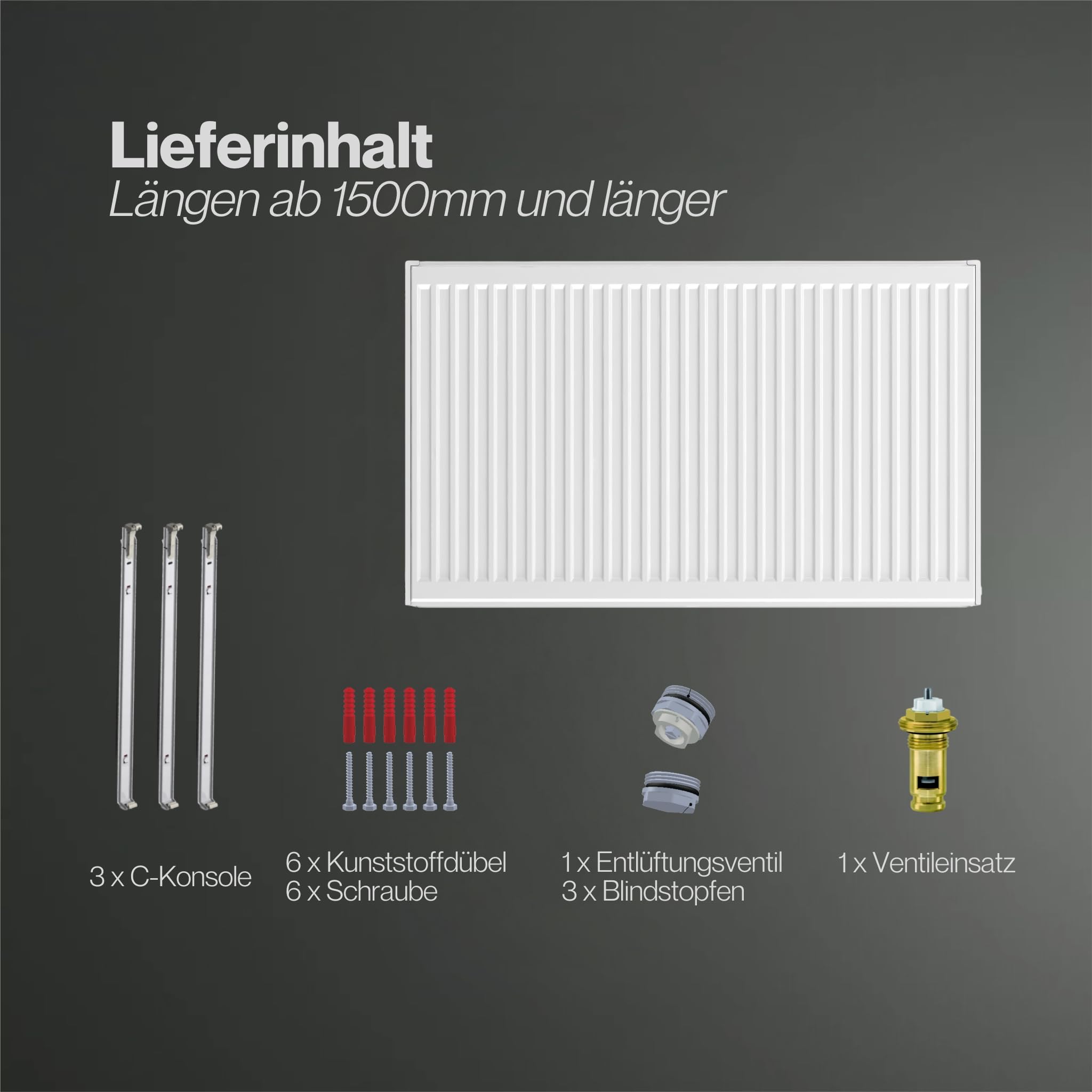 Typ 22 Universal Heizkörper VK-6 mit Ventileinsatz und C-Konsole (600x800)