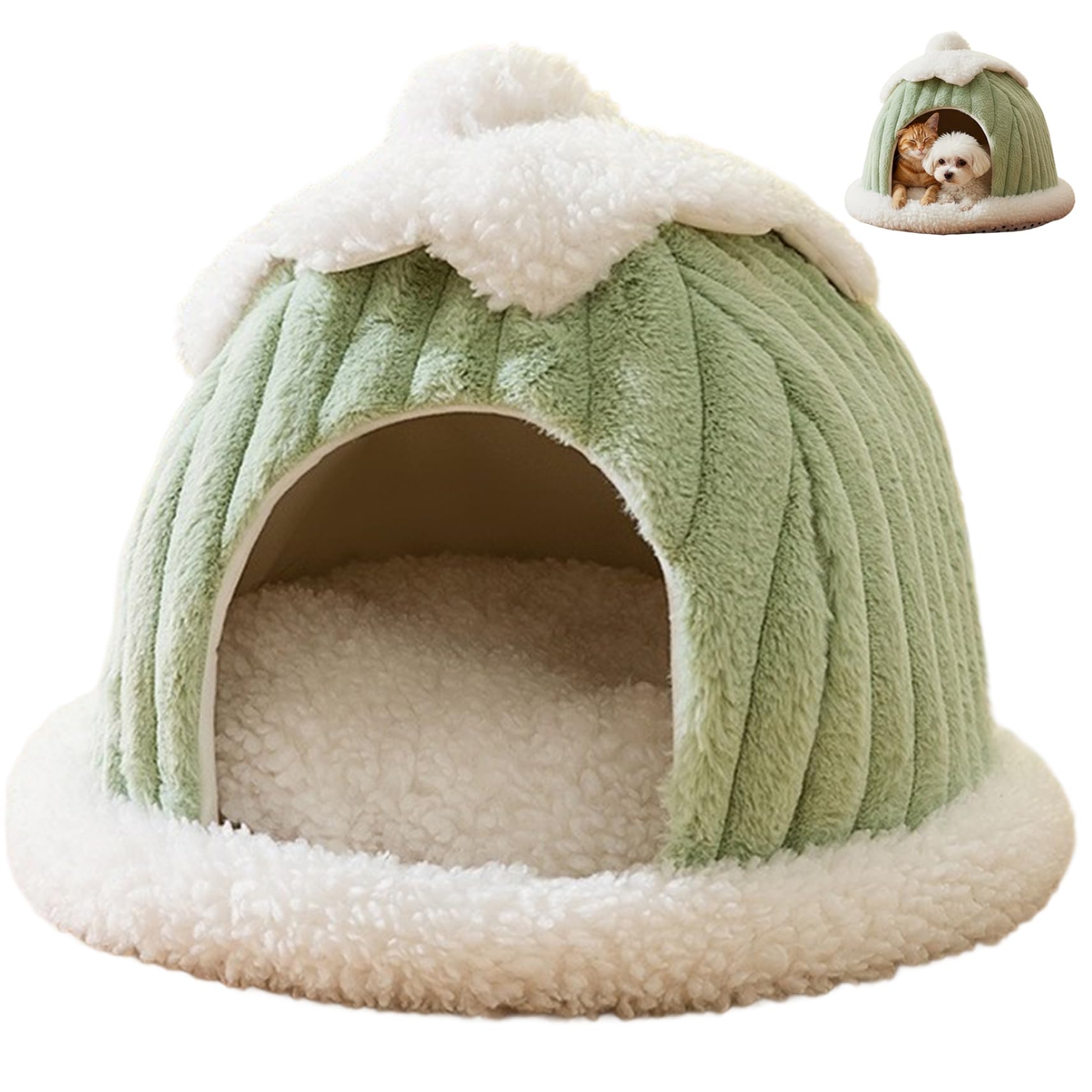 Tente confortable pour chats et petits chiens pour l'hiver au salon