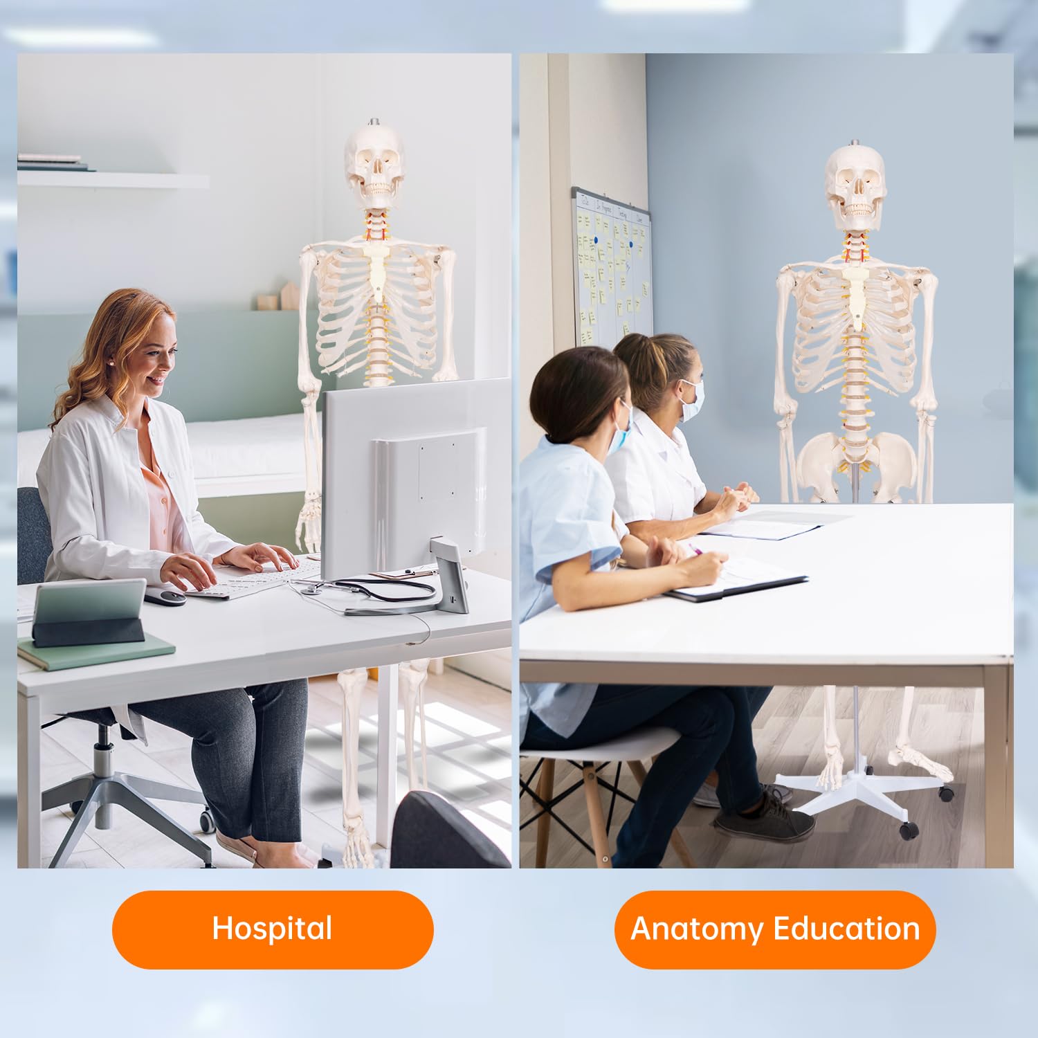 Life Size Posable Skeleton for Anatomy, 70.8'' Human Skeleton Bones Full Size Skeleton Model with Nervous System & Carotid Artery, Medical PVC Anatomy Skeleton Model W/Rolling Stand for Study Display