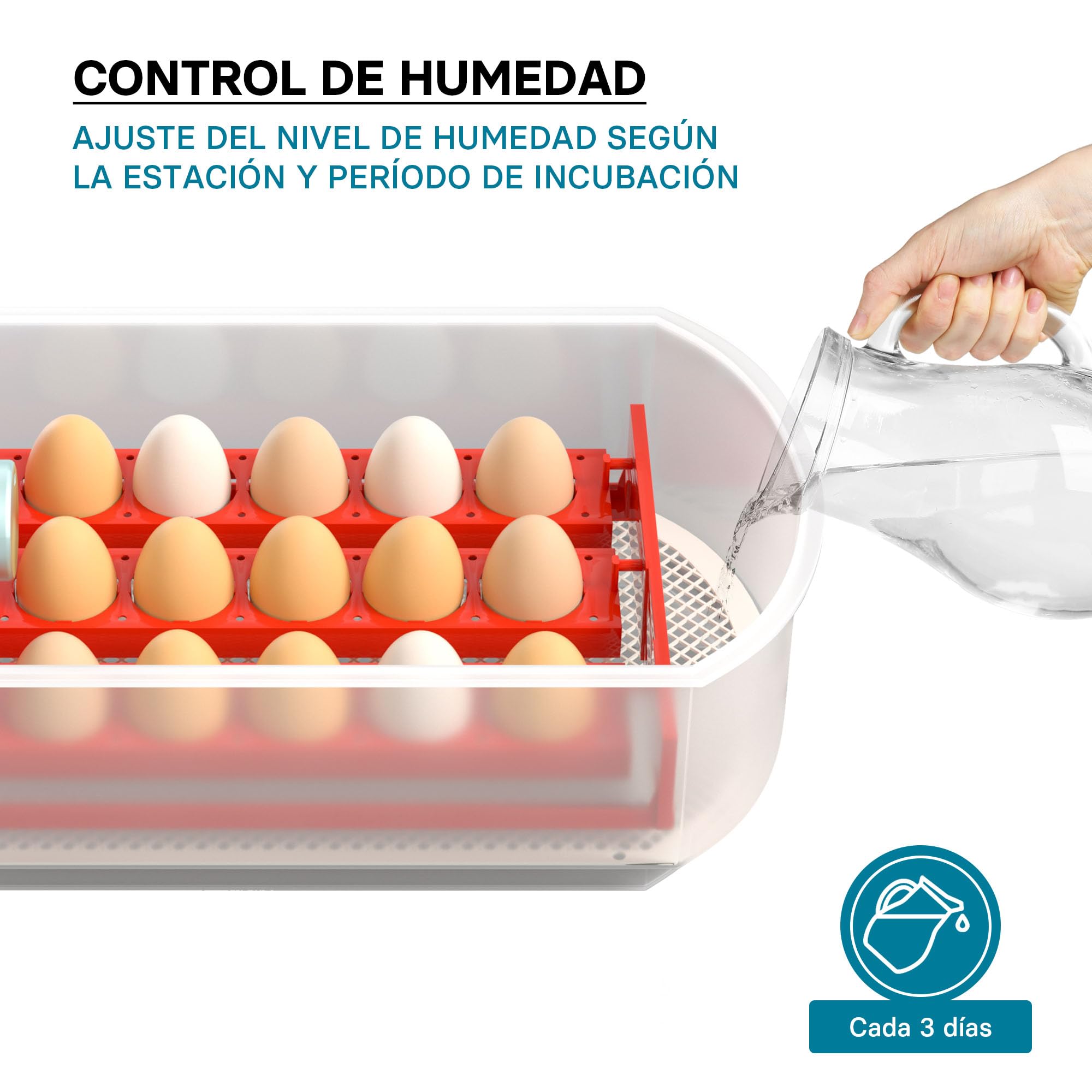 Incubadora automática capacidad para 15 huevos, Incubación Cría Aves de corral Pollos Patos Granja