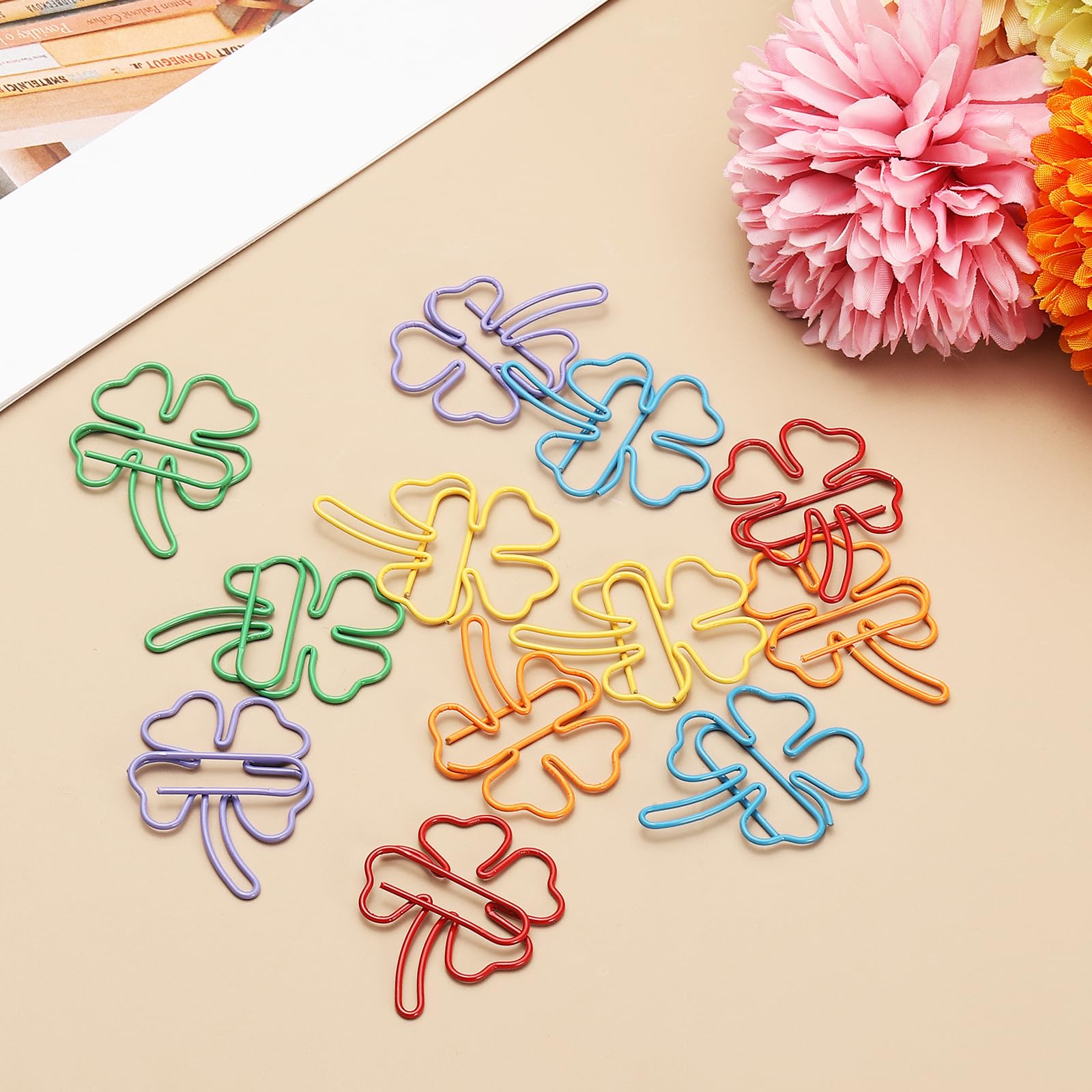 View 5