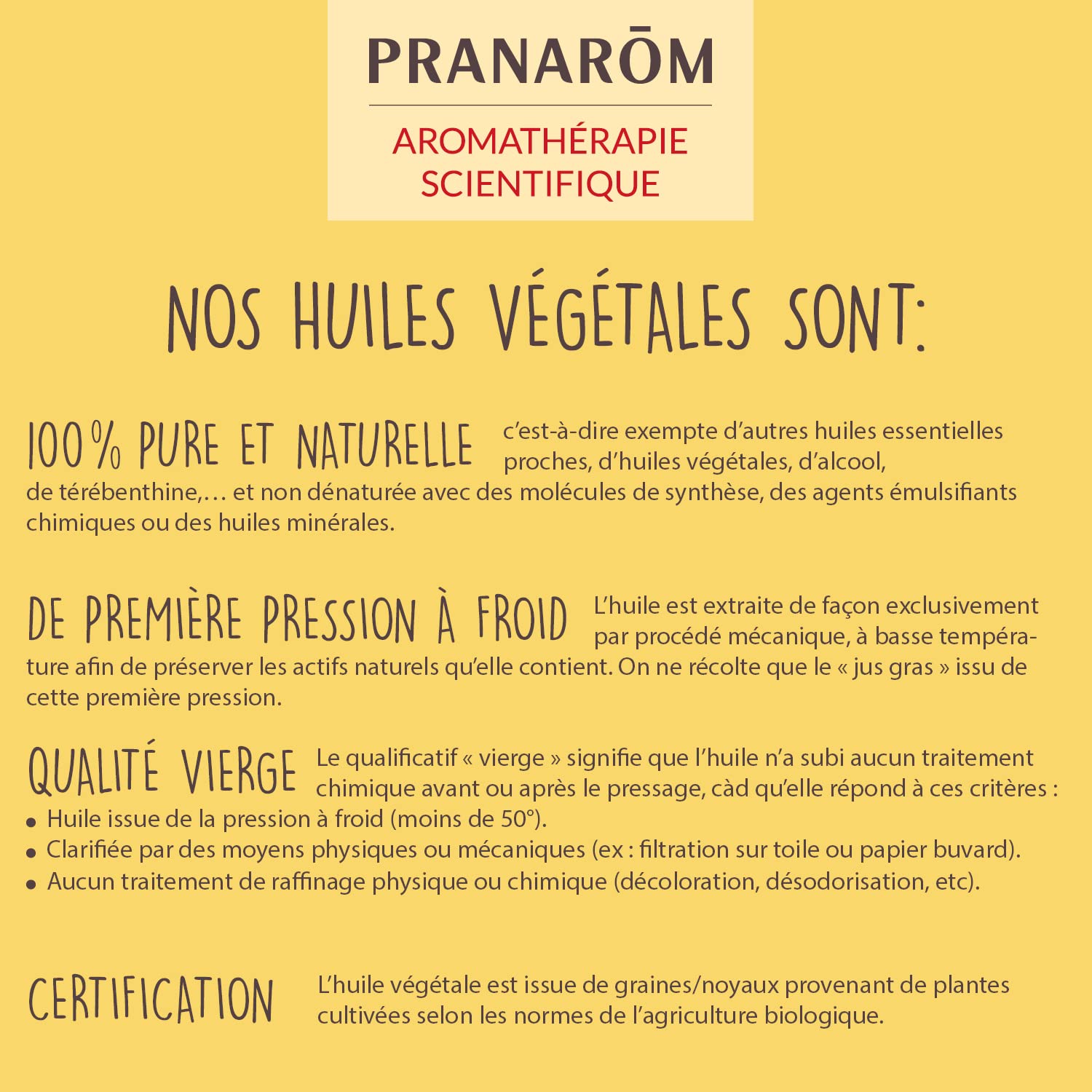 PRANAROM Aceite de Comino Negro Bio 50ml – Nigella Sativa Prensado en Frío – Puro y Natural para Piel, Cabello y Bienestar General