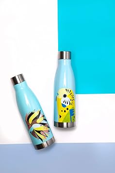 Maxwell & Williams JR0010 Pete Cromer Insulated Water Bottle, Budgerigar Design, BPA Free Stainless Steel, 500 ml