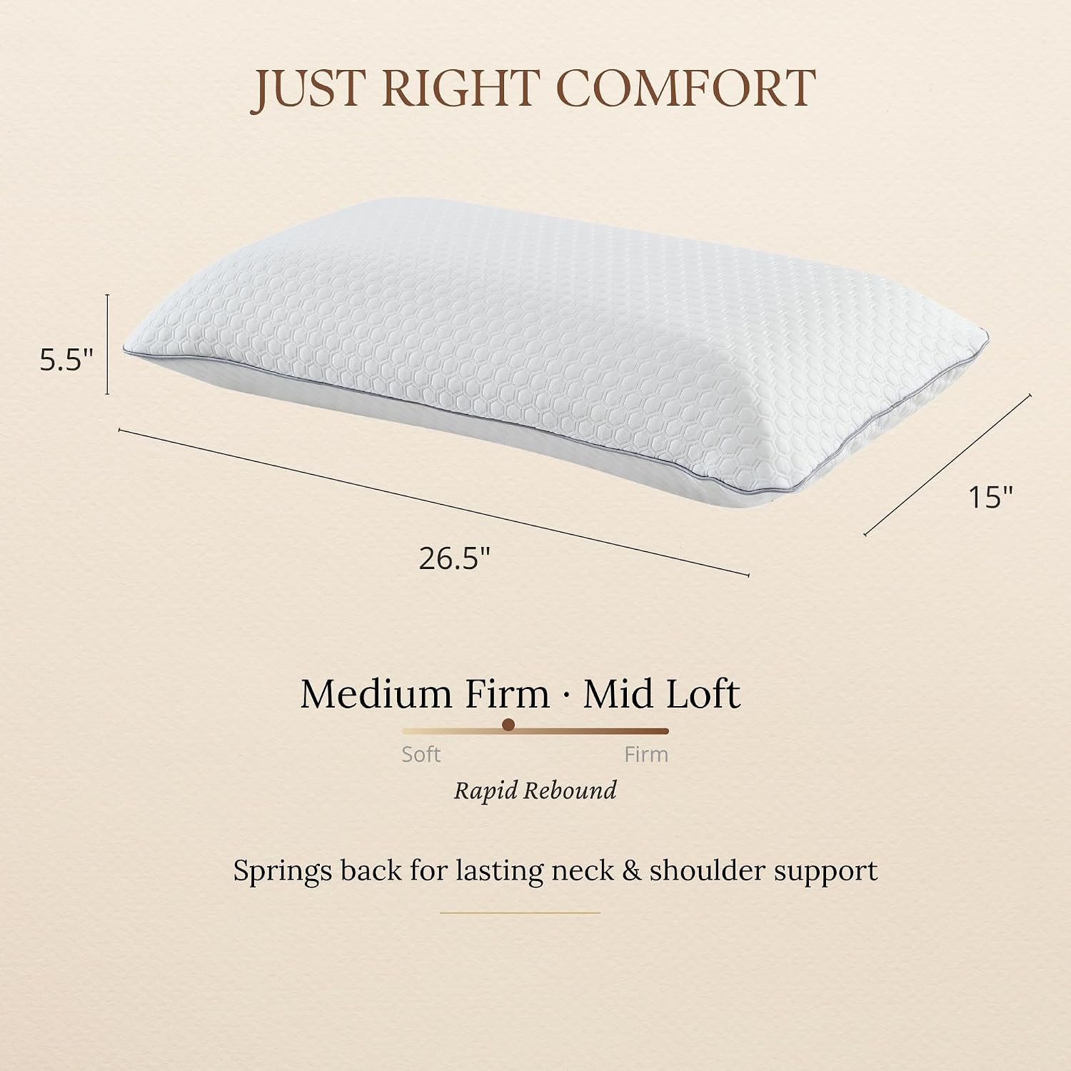 Latex Pillow Queen Size for Side & Back Sleepers, 100% Natural Talalay Latex, Medium Firm Neck & Shoulder Support, Pressure Relief, Dual-Layer Removable Cover, Oeko-TEX Certified