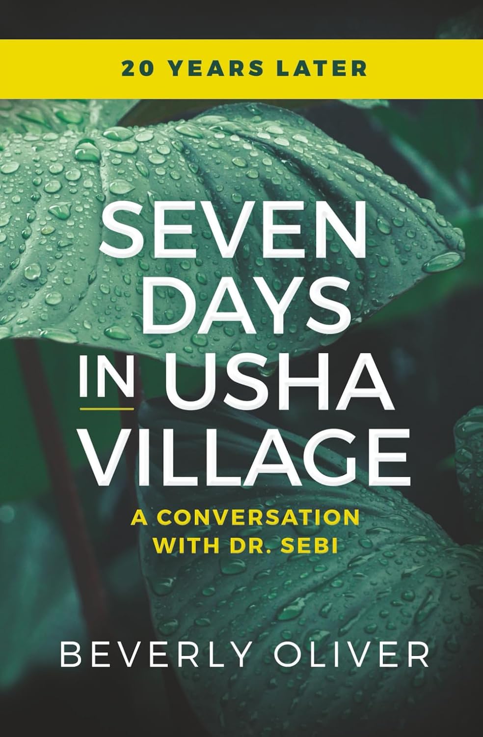 Seven Days in Usha Village a Conversation with Dr. Sebi 20 Years Later      Paperback – February 14, 2026