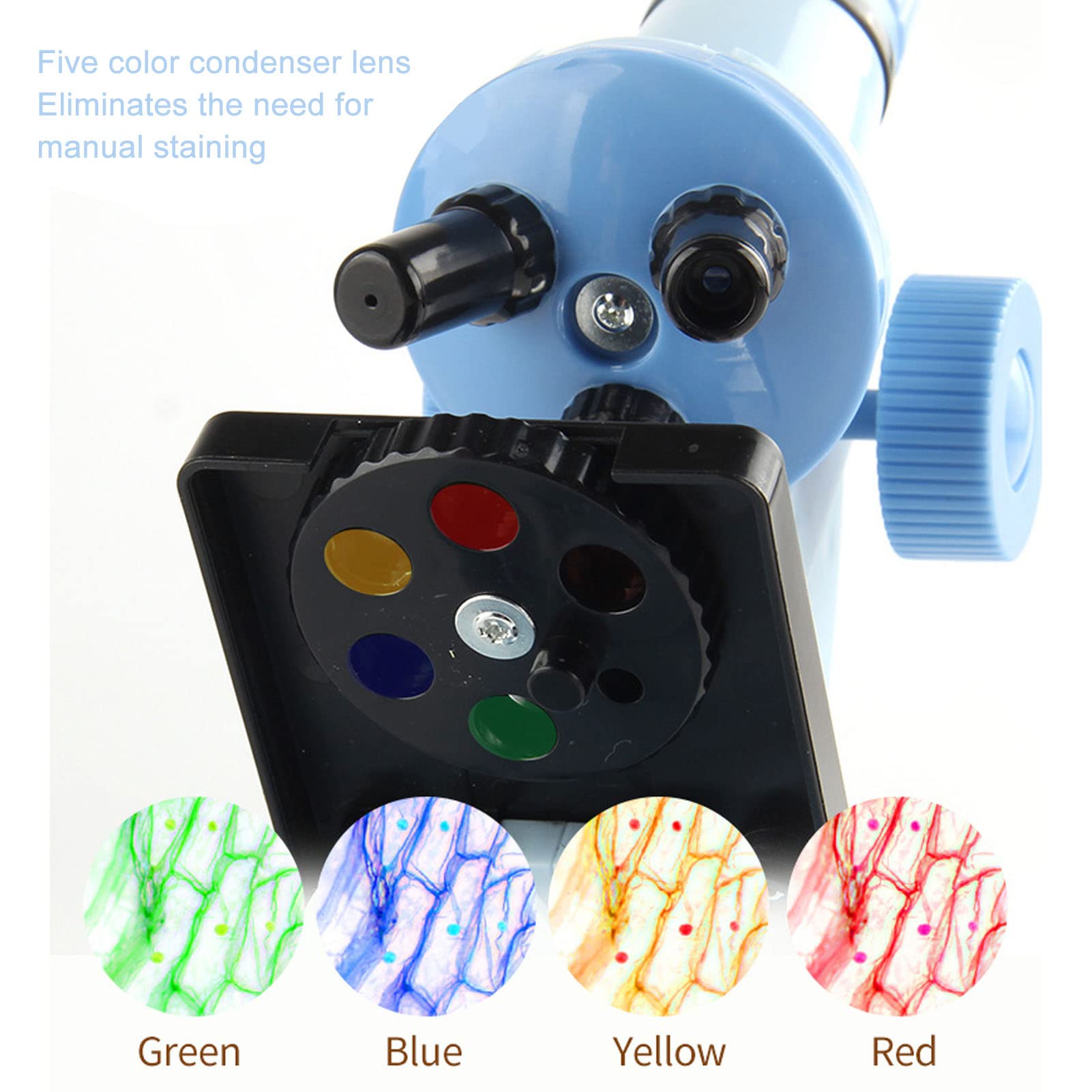 Microscopio Portátil Para Niños – Aumento 80x-120x, Lupa De Mano Con Reposaojos – Ideal Para Explorar Naturaleza Y Proyectos De Ciencias