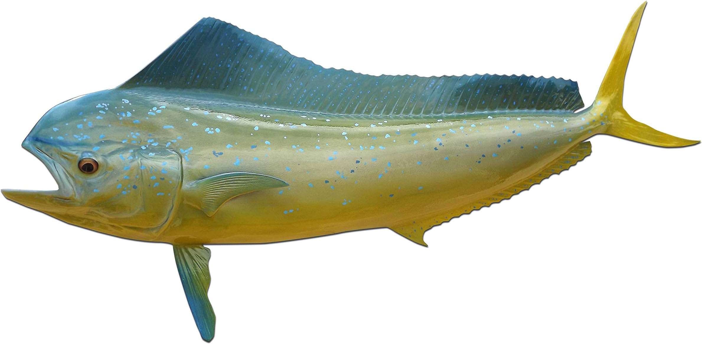 42" Cow Mahi Half Sided Fish Mount Replica - Affordable Coastal Decor - Indoors Or Outside