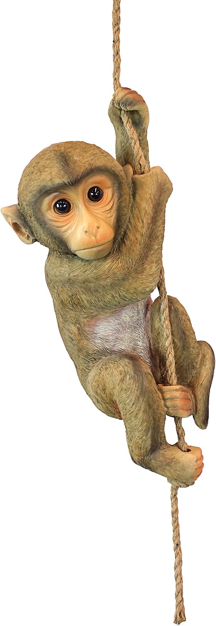 Chico the Chimpanzee Baby Monkey Hanging Indoor/Outdoor Animal Statue, 16 Inch Long, Cast Stone Resin, Brown Painted Finish