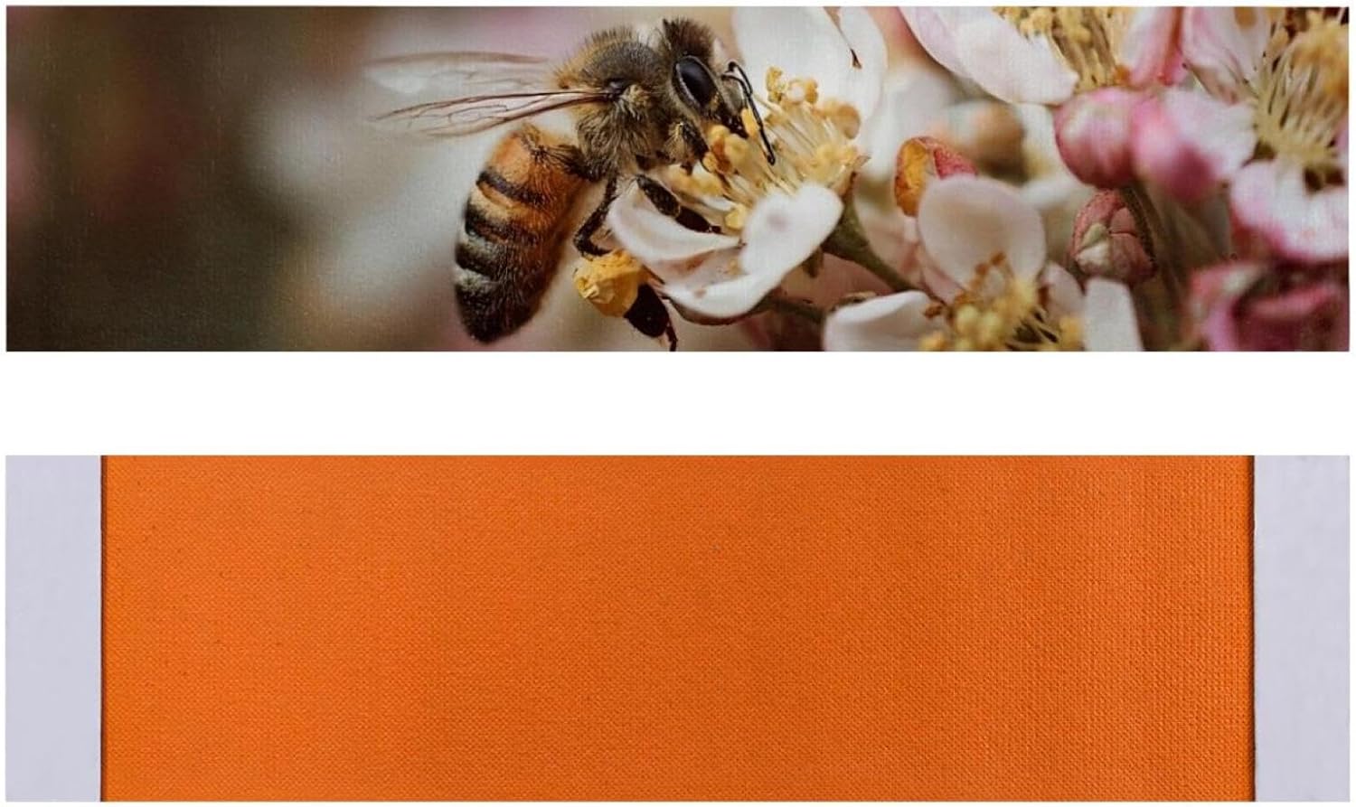 15 Pack Bee and Flowers Stair Treads,8" X 30" Non Slip Carpet Stair Treads Reusable Staircase Step Treads Carpet Treads for Wooden Steps Indoor