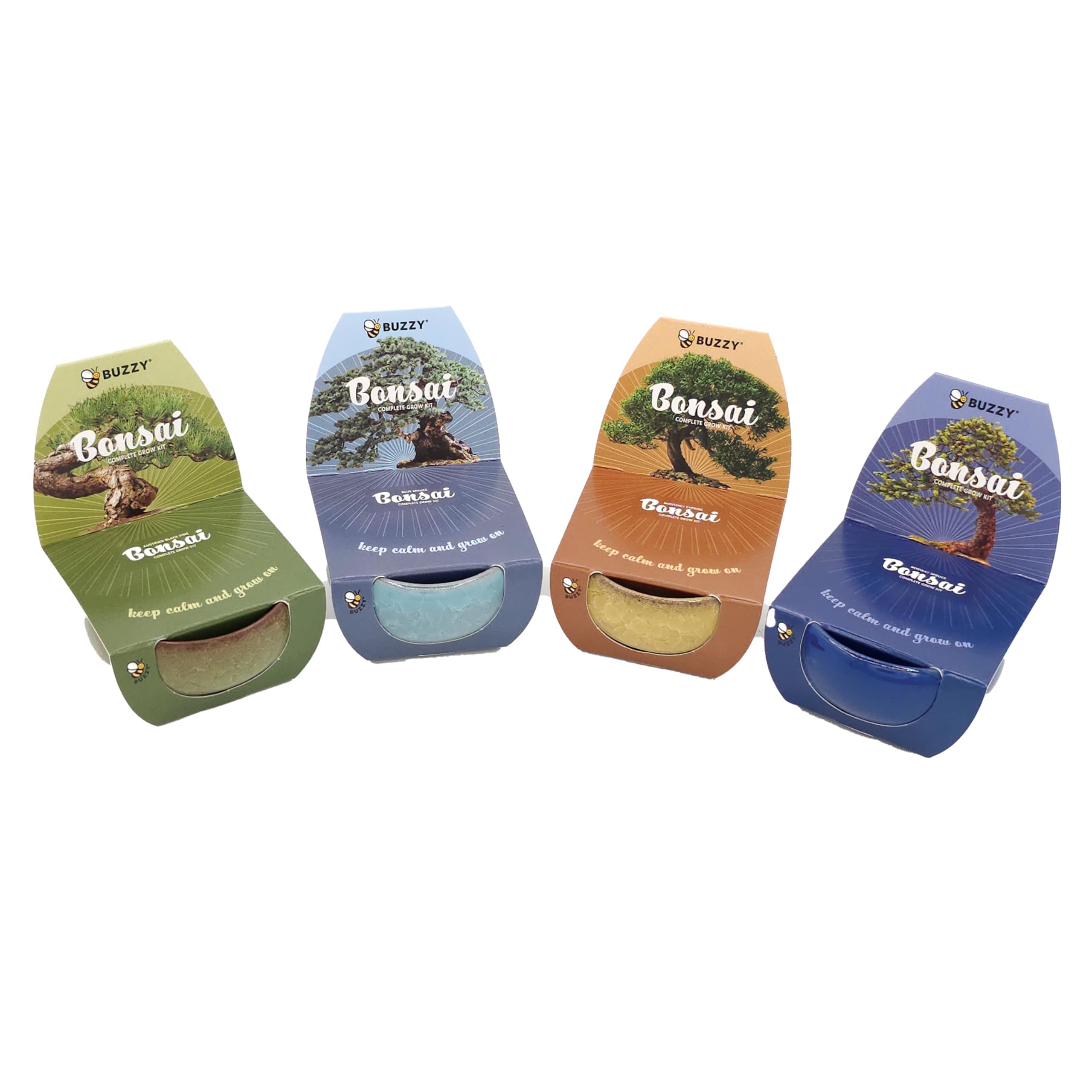 BUZZY 4-Pack Bonsai Kit
