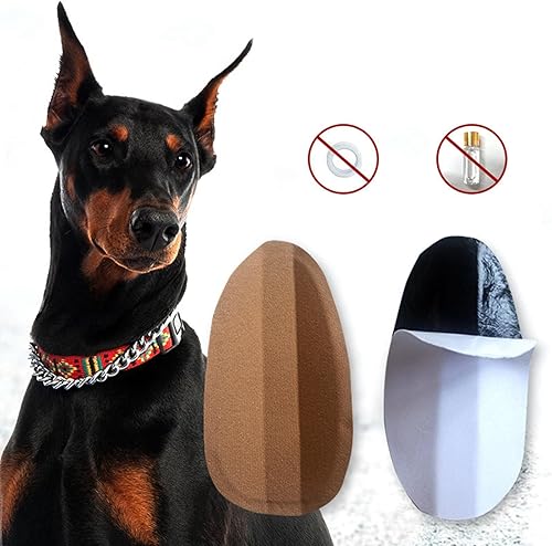 Miniatura 4 de Fenteer - Adhesivo para orejas de cachorro con soporte fijo, herramienta alemana para levantar orejas de cachorro, 2.8 x 1.4in