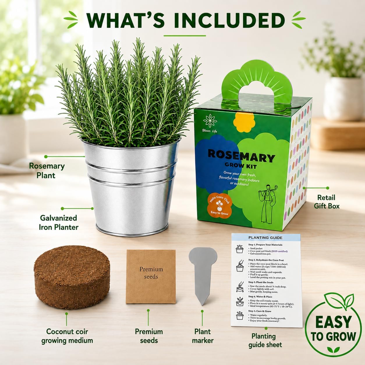 Rosemary Grow Kit, All-in-One Indoor Herb Garden Starter Kit with Conical Metal Planter, Complete Growing Set for Gardening Enthusiasts, Kitchen Windowsill image 2