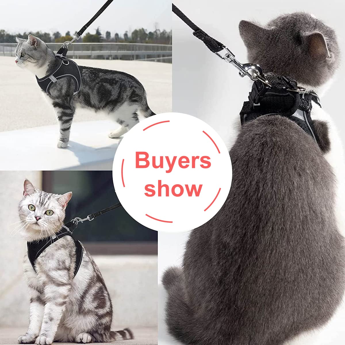 Pettorina Gatto Antifuga con Guinzaglio Allungabile XXS