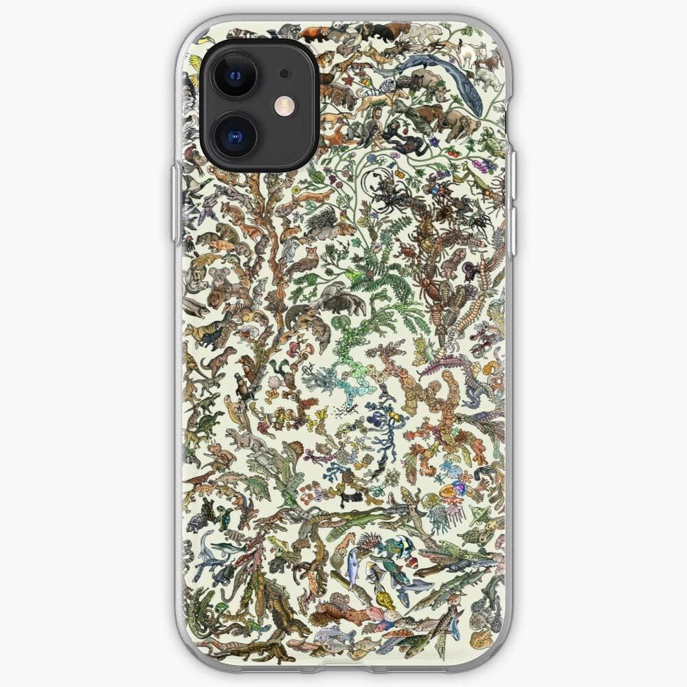 Life Birds Mammals Tree Evolution of Darwin Animals