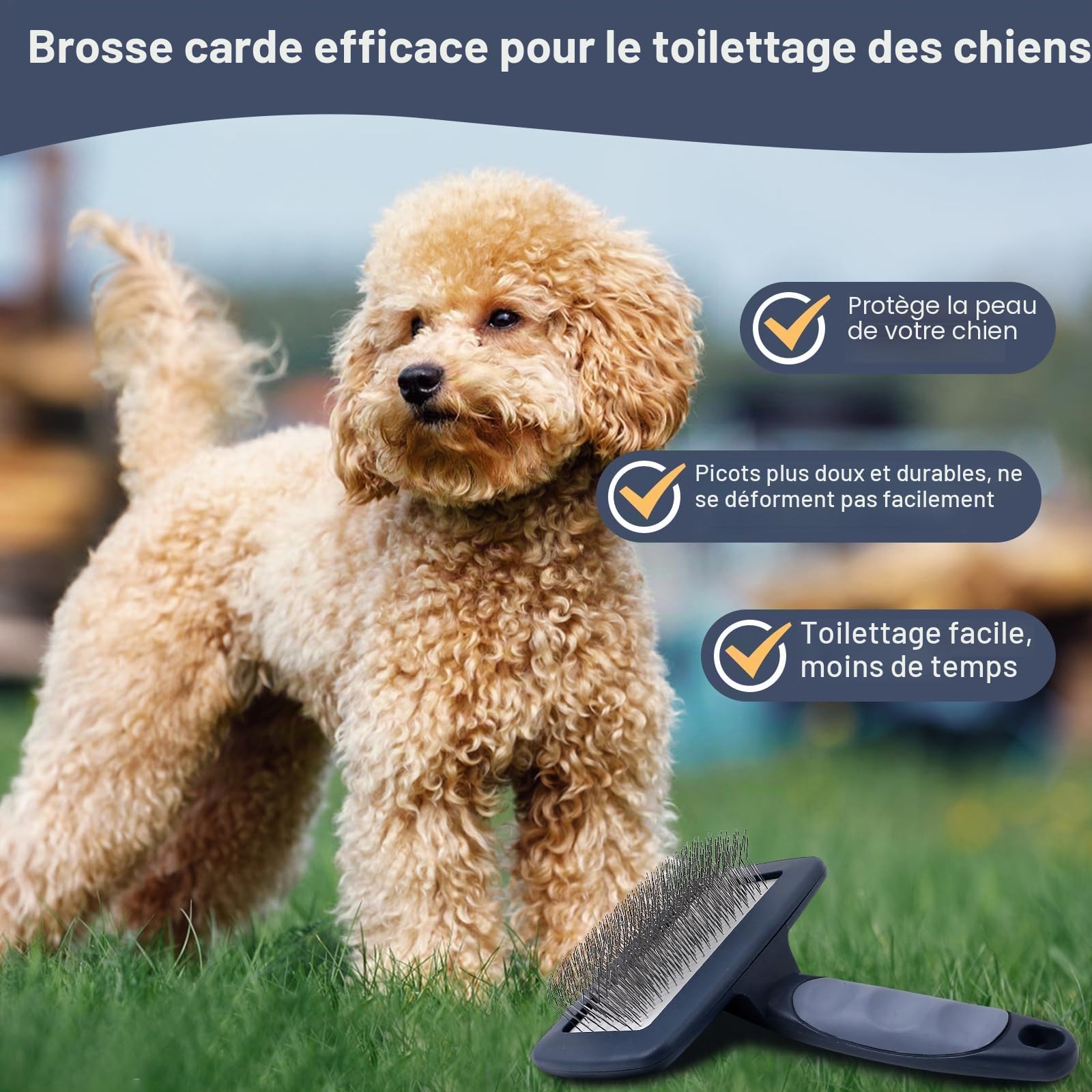 Brosse incurvée extra longue pour chien Golden Doodle, Caniche, Labradoodle – Masse la peau de l’animal, rend les poils doux et brillants, élimine les poils morts et les nœuds efficacement