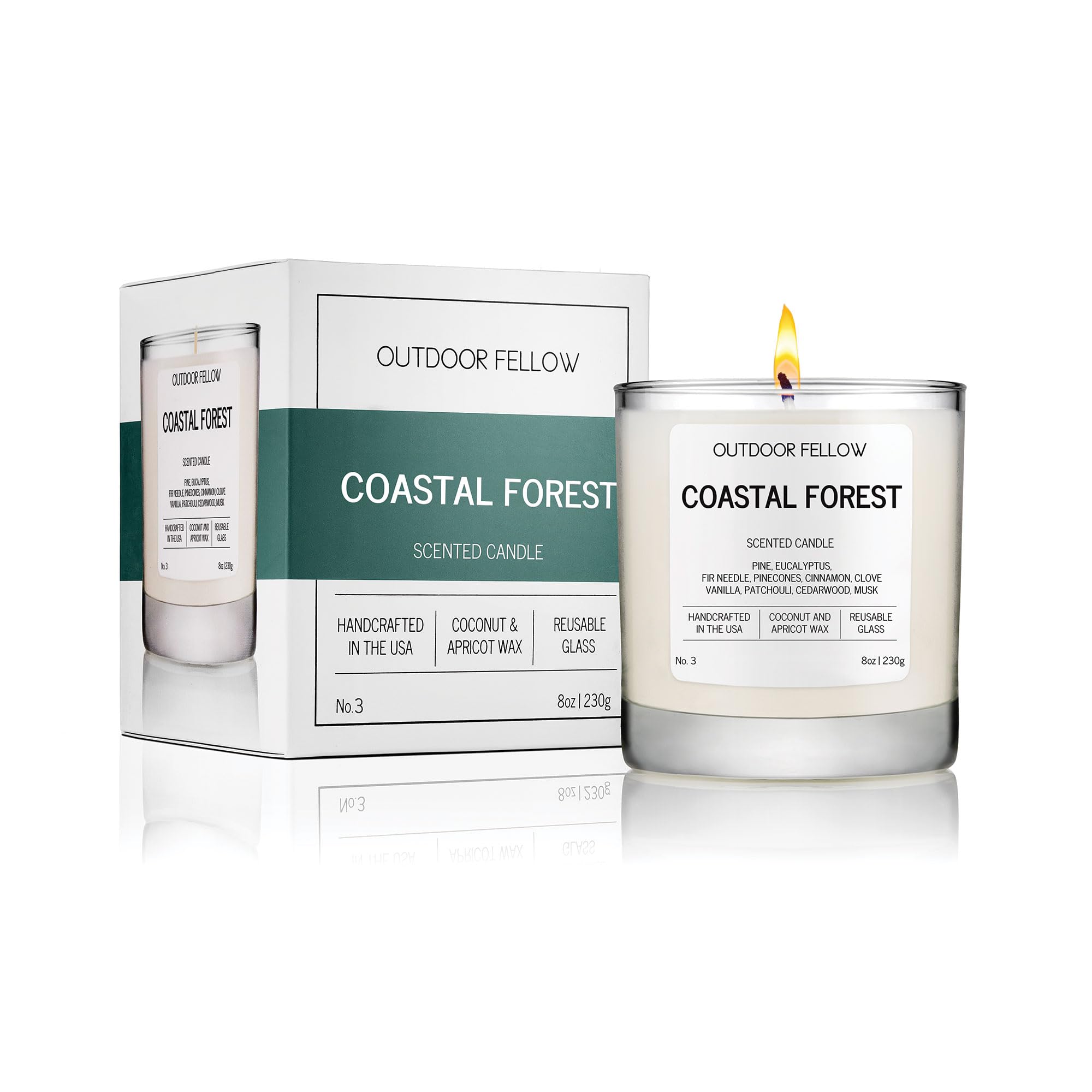 Outdoor Fellow Coastal Forest Scented Candle, 8oz, Coconut & Apricot Wax Blend, Pine, Eucalyptus, Cedarwood, Reusable Glass, 40-50 Hour Burn Time