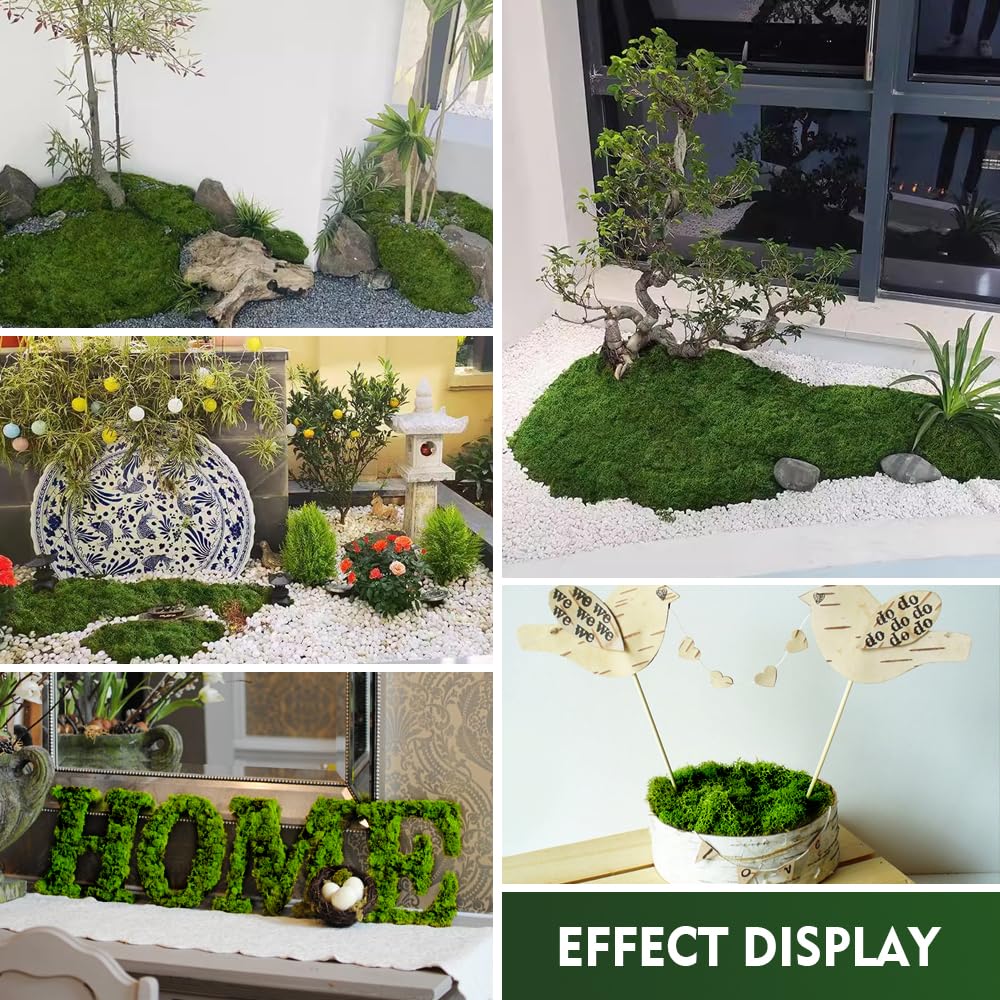 100g Muschio Stabilizzato per Presepe Naturale Muschio Finto per Decorazioni Lichene Stabilizzato Pannelli Licheni Stabilizzati Moss Muschio Artificiale Decorativo Islandese Muschio-Scuro