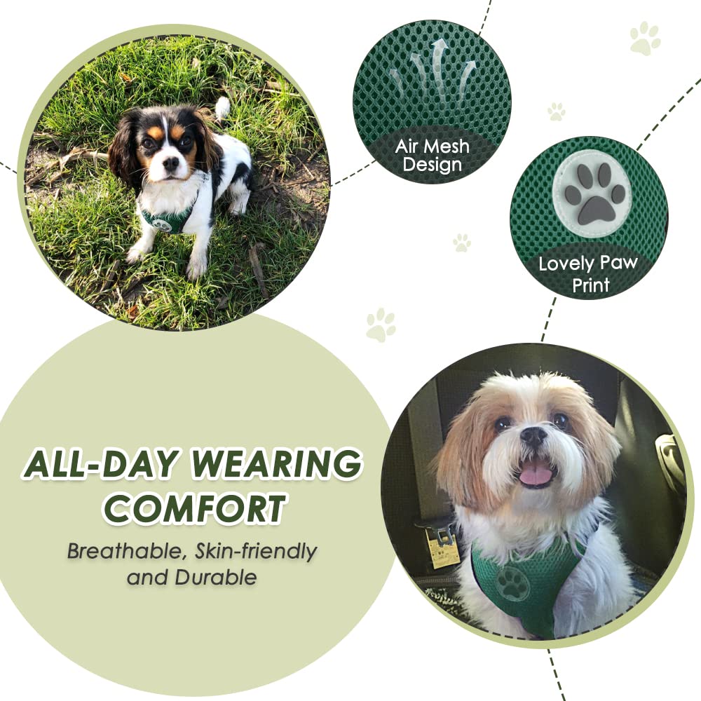 Nasjac Dog Car Harness with Seat Belts - Image 3