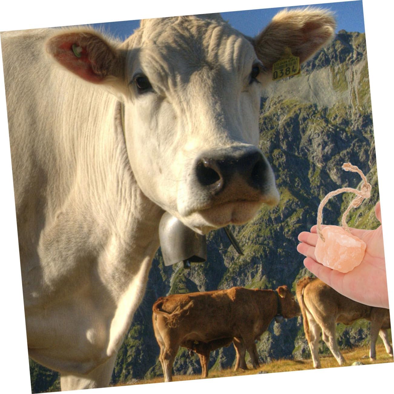 20pcs Salt Blocks with Holder Cows Deer for Livestock Health Easy to Manage Store Nutrient-Rich Salt for Energy Vitality