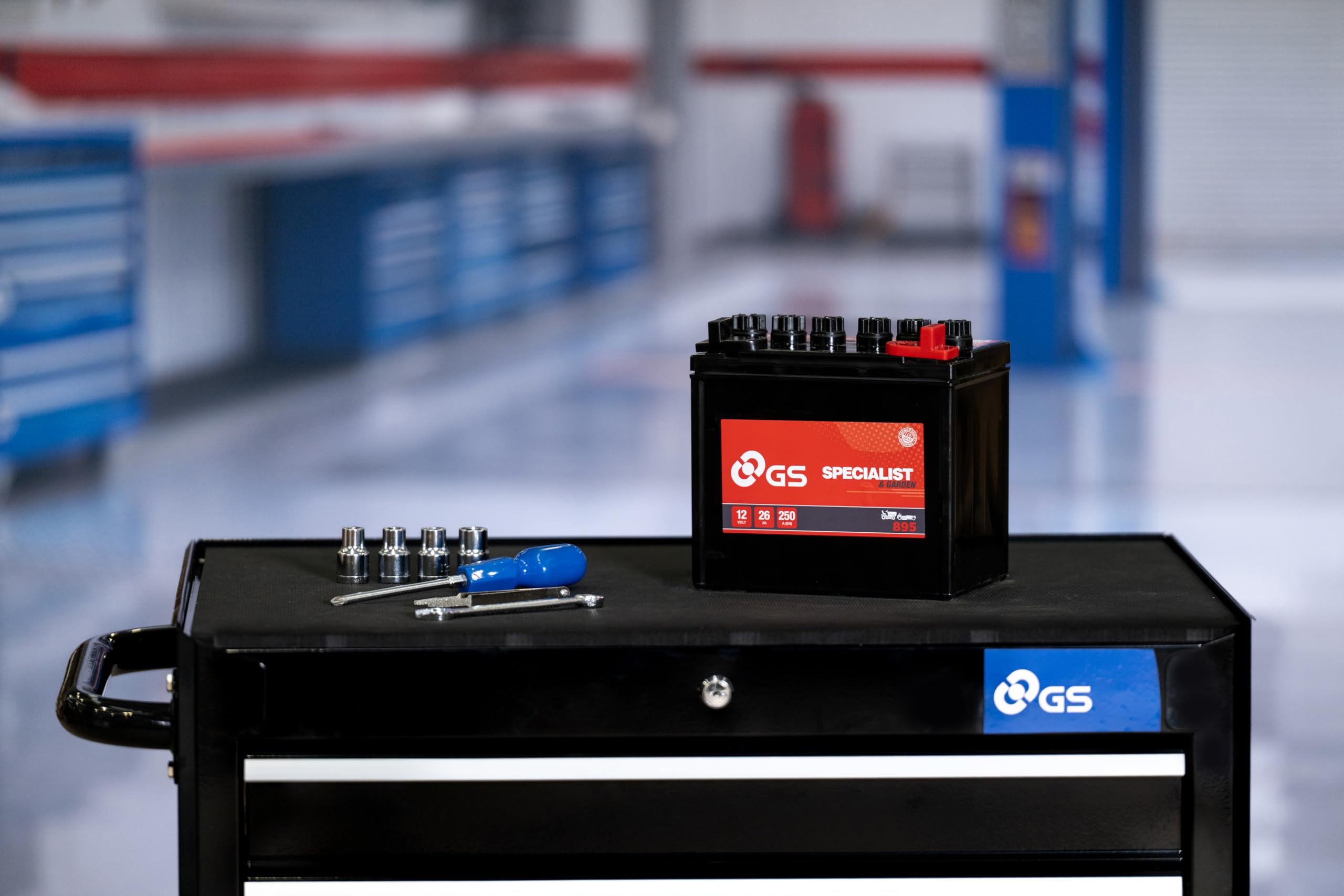 Yuasa 895 - Batterie de démarrage