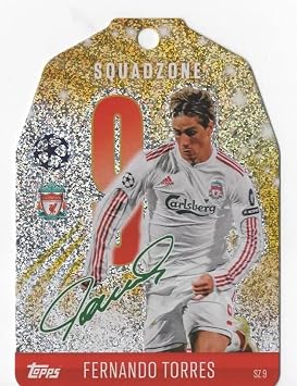 Generic Match Attax 2024 2025 Fernando Torres Squadzone Trading Card