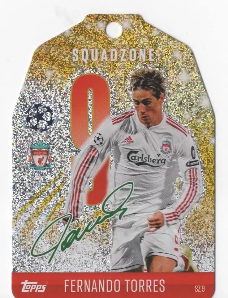 フェルナンドトーレス 直筆サイン グッズ フェルナンドトーレス 直筆サイン入りカード 引退 トレカ サガン鳥栖