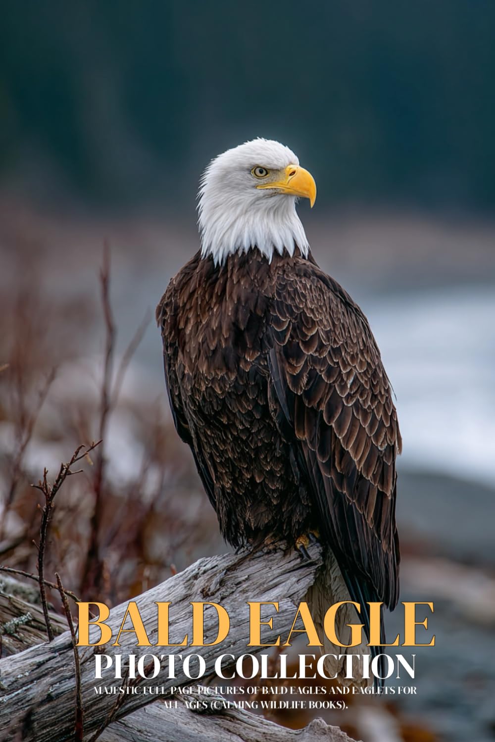 Bald Eagle Photo Collection: Majestic Full-Page Pictures of Bald Eagles and Eaglets for All Ages (Calming Wildlife Books).