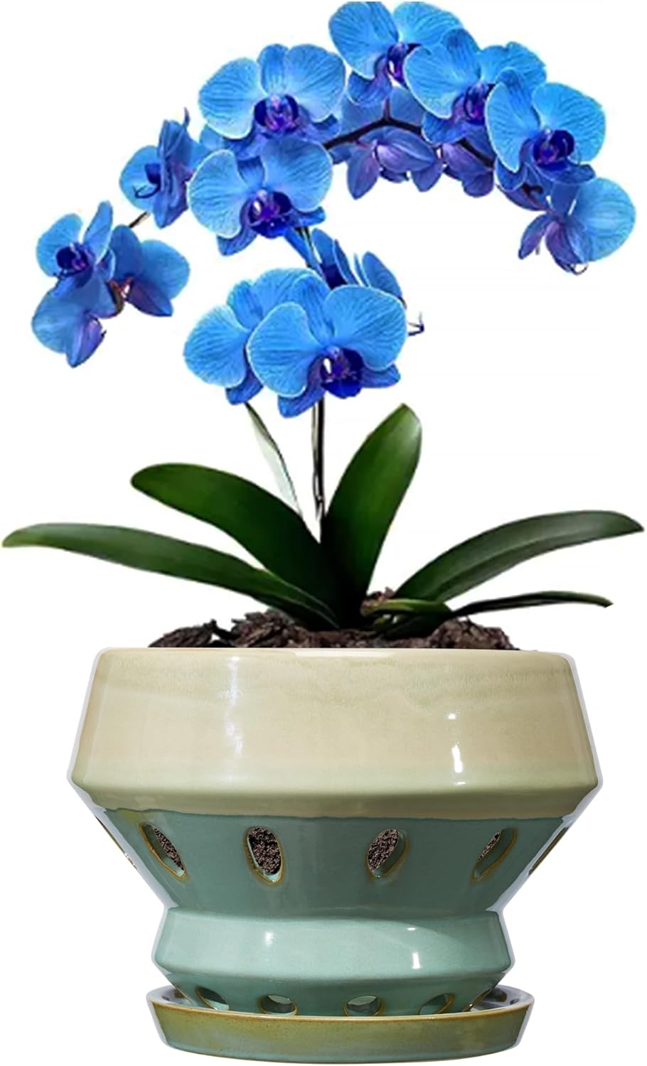 Gepege 6.5 Inch Orchid Pots with Holes for Indoor Plants, Plant Pots with Drainage Hole, Ceramic Planter with Saucers, Indoors Flower Pots