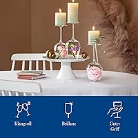 Vista 5 de Villeroy & Boch Rose Garden - Copa de vino tinto, juego de 4, 6.75 onzas, cristal de cristal, transparente