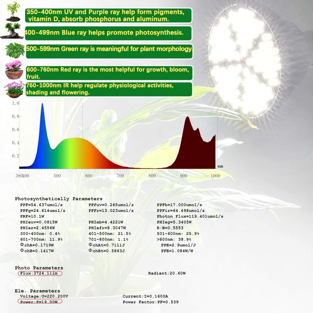 MILYN LED Grow Light Bulb for Indoor Plants Full Spectrum Pure White Grow Lamp, 2 Pack 100W E26 LED Plant Bulb for Seedlings, Flowers, Greenhouse, Vegetable, Succulent, Houseplants, Hydroponic