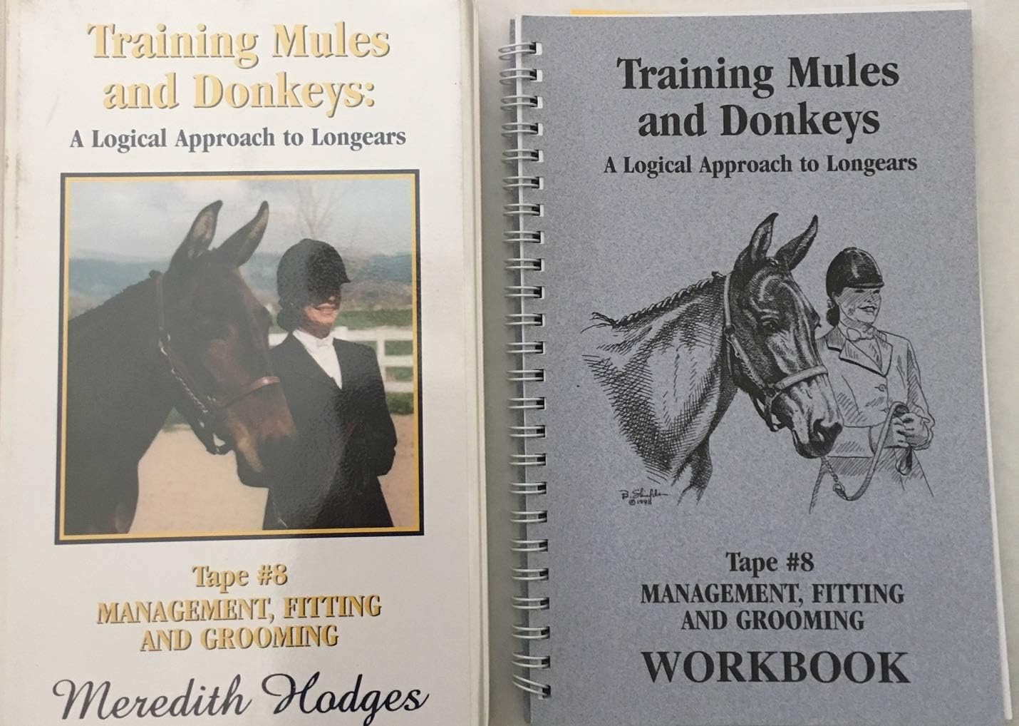 Training Mules and Donkeys 8 (Management, Fitting