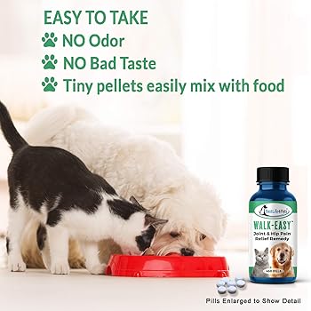 metacam for cats amazon