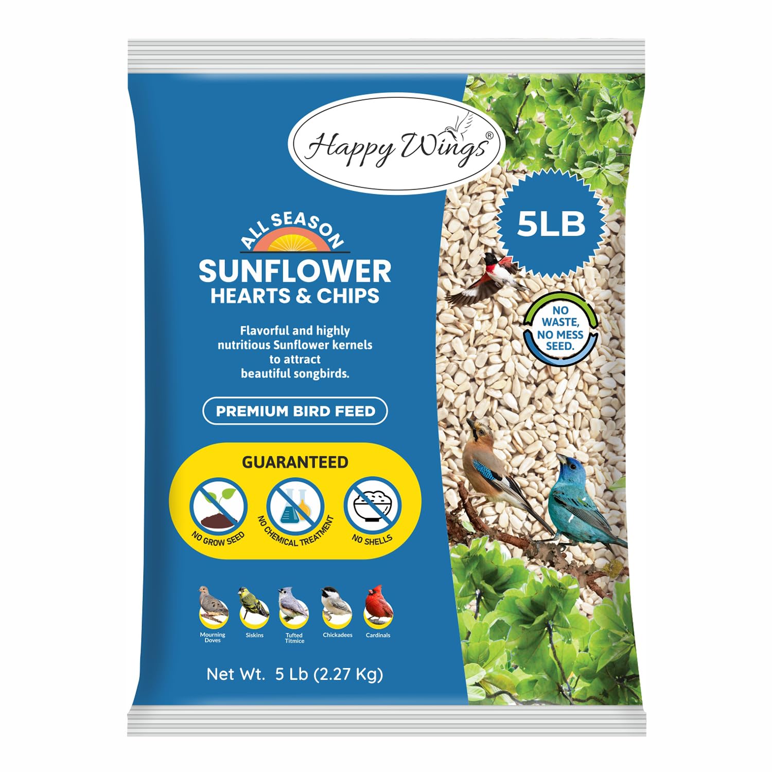 Can You Plant Bird Food Sunflower Seeds: Expert Tips & Benefits