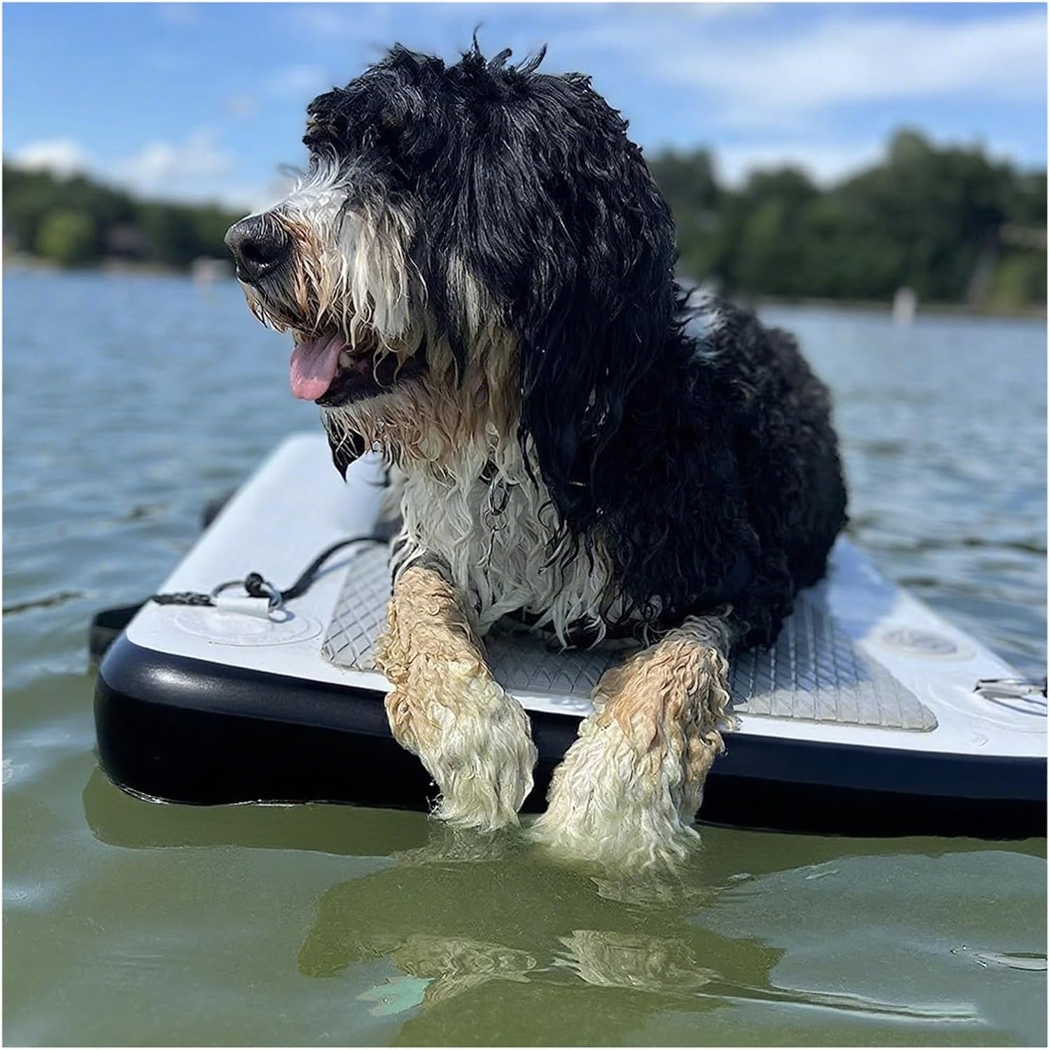 Safety Floating Dock for Dogs, High Buoyancy Dog Inflatable Floating Ramp Easy Carry & Store, Portable PVC Pet Dock Platform for Lake/Beach/Swimming Pool, EVA Pad(Black)