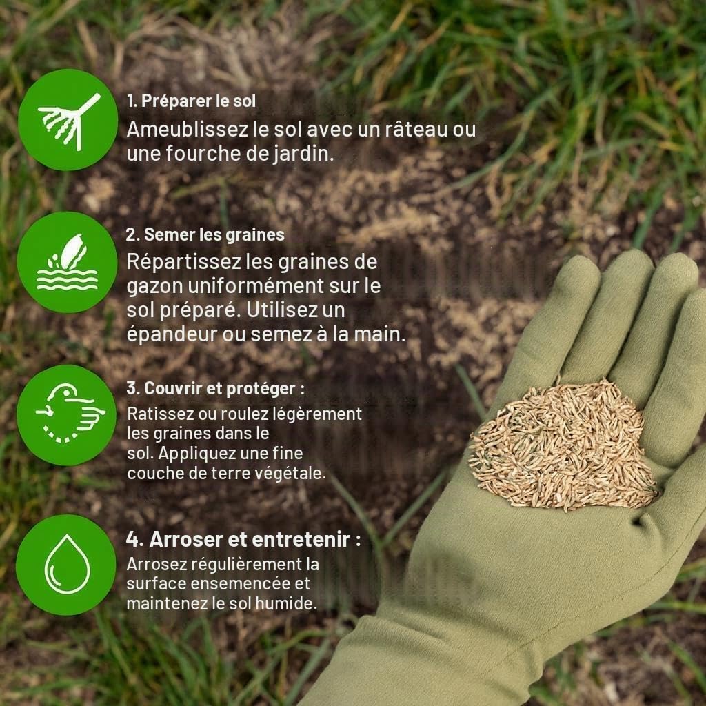 Graines résistantes GroundMaster pour pelouse de qualité supérieure Différentes tailles (10kg, 300m²)
