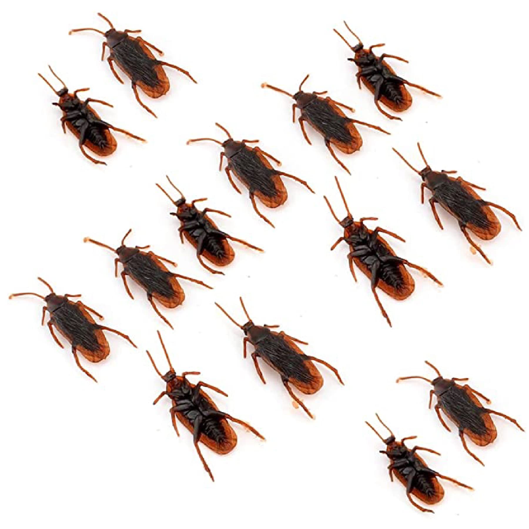 Wanna Party Fake Cockroaches 2.5", Realistic Cockroaches Halloween Prank Toys for Halloween Party Decoration, April Fools Day Props (Pack of 12) (B0BH8MR6T7) Amazon Price History, Amazon Price Tracker