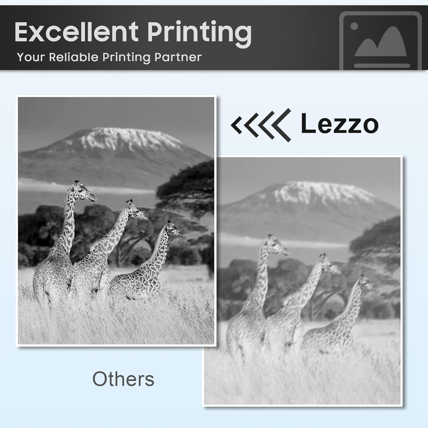 Lezzo B600 B605 Drum Unit 1-Pack B600 Drum Cartridge Replacement for Xerox 101R00582 Drum for VersaLink B600 B605 B610 B615 Printer (60,500 Pages)