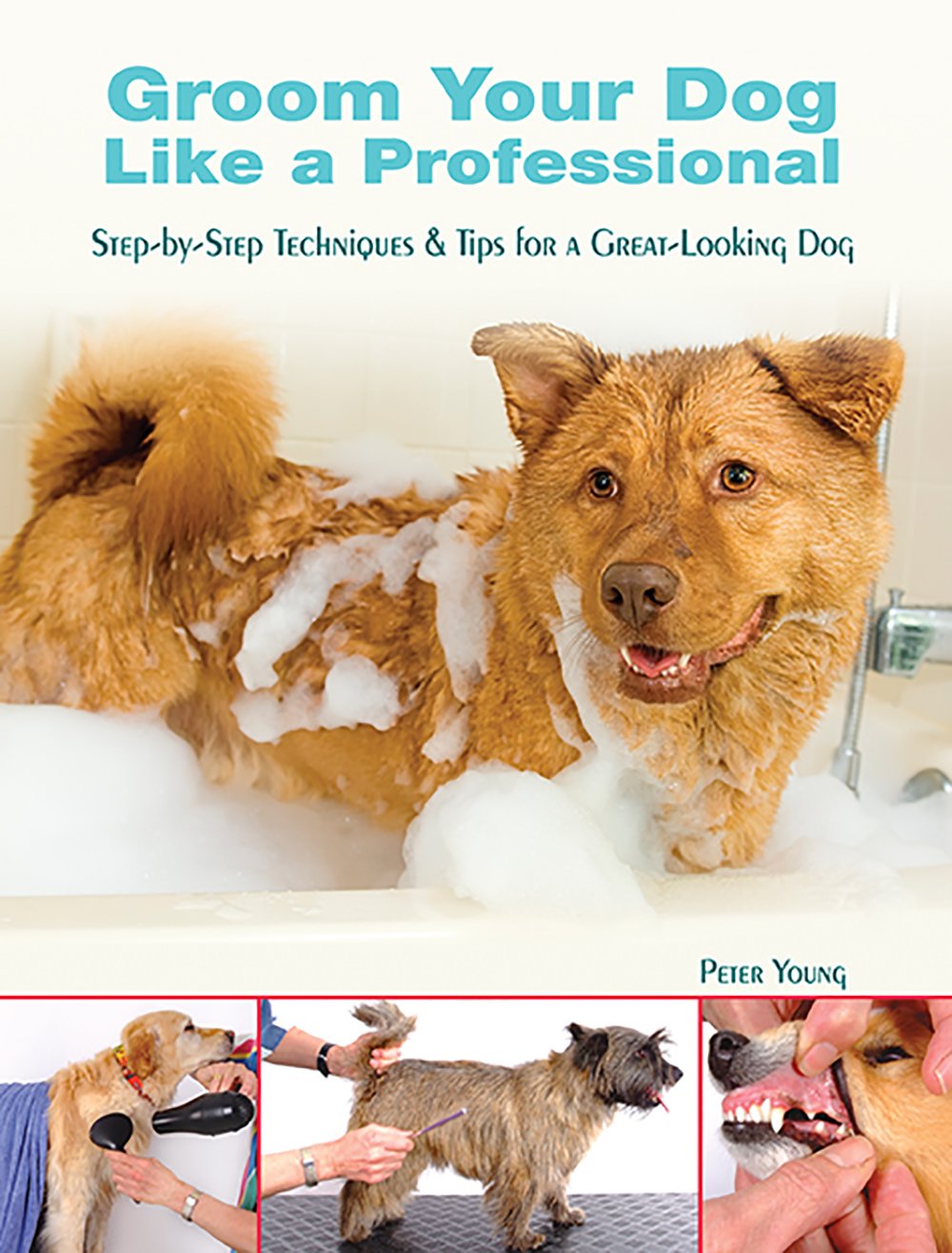 Groom Your Dog Like a Professional StepByStep Techniques and Tips for a Great Looking Dog