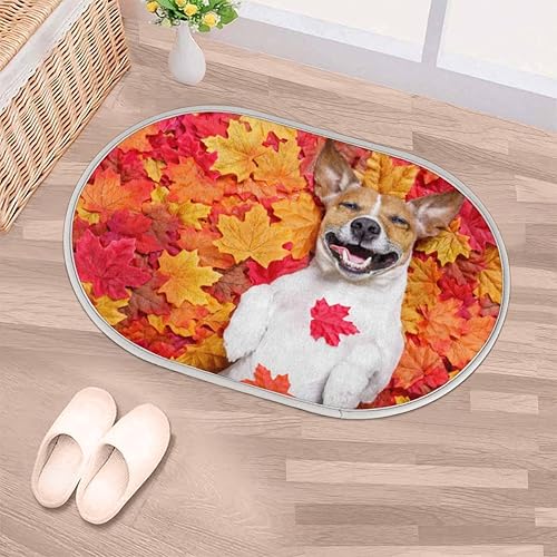 Miniatura 1 de Maple Leaf Corgi Dog Memory Foam Bath Rug Soft Velvet Non-Slip Bathroom Rug Super Absorbent Shower Floor Mats Thick Bath Mat Carpet for Bathroom,Tub