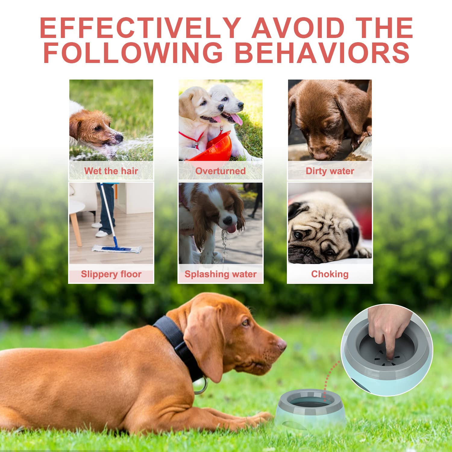 Pet Floating Water Bowl, Anti-Overflow Slow Drinking Dog Bowl, Portable Travel Dog Water Bowl - Image 2
